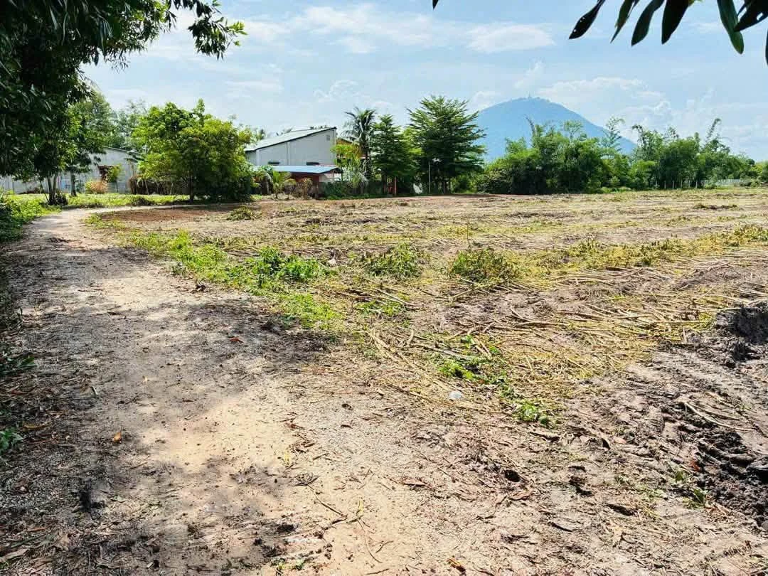 Bán đất Dương Minh Châu Tây Ninh 575m² thổ cư 50m² - Ảnh 1
