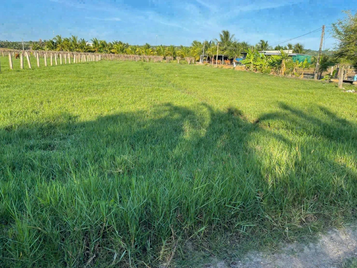 Bán đất 1 sào thị trấn Phú Long Hàm Thắng 699 triệu - Ảnh thu nhỏ 2