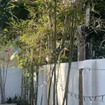 Cần bán gấp homestay đẹp đang kinh doanh tại An Vĩnh, đặc khu Lý Sơn, vị trí đẹp - DT 138m2 - Ảnh thu nhỏ 20