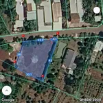 Bán đất 1000m2 Long Phước 3 tỷ 550 triệu - Ảnh thu nhỏ 1
