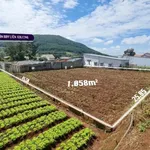 Bán đất 1058m2 (400m2 thổ cư) Hiệp Thạnh 2,8 tỷ - Ảnh thu nhỏ 1