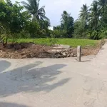Bán gấp đất thổ cư 5x30m (150m2) giá 430 triệu đường Phạm Công Thận, Tân Trụ, Long An - Ảnh thu nhỏ 2