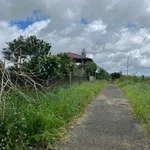Bán 8.000m² đất vườn hẻm Lê Thị Riêng, Phường 3, Bảo Lộc, giá 12,5 tỷ - Ảnh thu nhỏ 2
