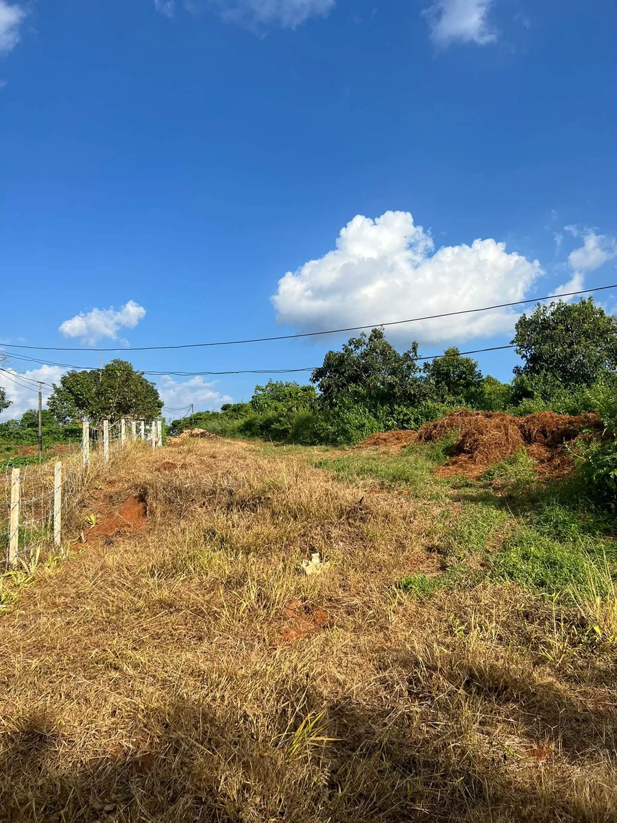Bán đất 2.400m² Trương Định Pleiku, view ruộng - Ảnh thu nhỏ 2
