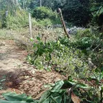 Bán đất thổ cư 10x33m hẻm Mậu Thân, gần chợ đầu mối, Phường Tân An, giá 1,85 tỷ - Ảnh thu nhỏ 2