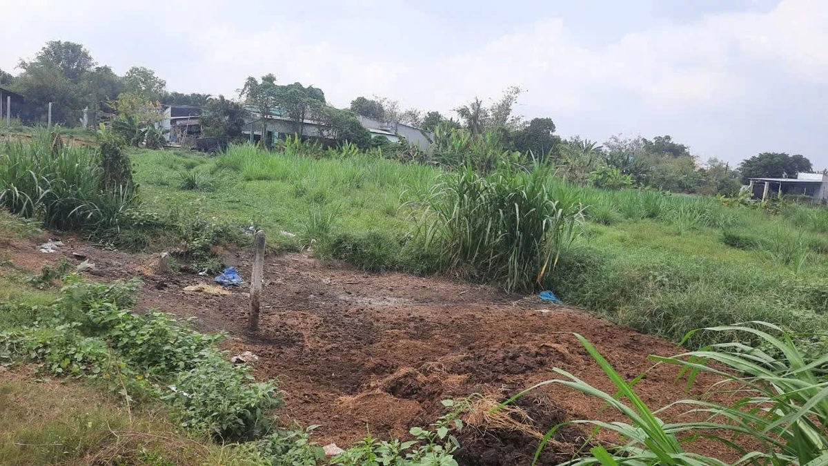 Bán lô đất mặt tiền Nguyễn Thị Chuỗi 4800m2, Phước Thạnh, Củ Chi, giá 20 tỷ - Ảnh thu nhỏ 5
