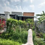 Chủ định cư nước ngoài không ai trông. Cần sang lại căn nhà cấp 4 (200m2) giá 850tr. LH 0909 362 *** - Ảnh thu nhỏ 7