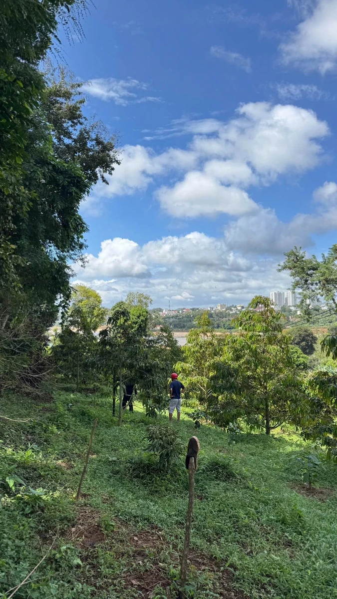 Bán đất 5000m² Trần Quý Cáp view hồ EaTam 7 tỷ 5 - Ảnh thu nhỏ 4