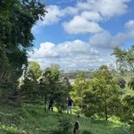 Bán đất 5000m² Trần Quý Cáp view hồ EaTam 7 tỷ 5 - Ảnh thu nhỏ 4