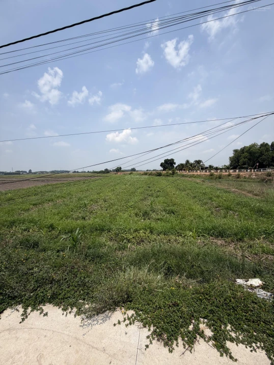1.198m2 đất lúa, quy hoạch phân khu đất ở An Tịnh - Trảng Bàng - Tây Ninh - Ảnh 1