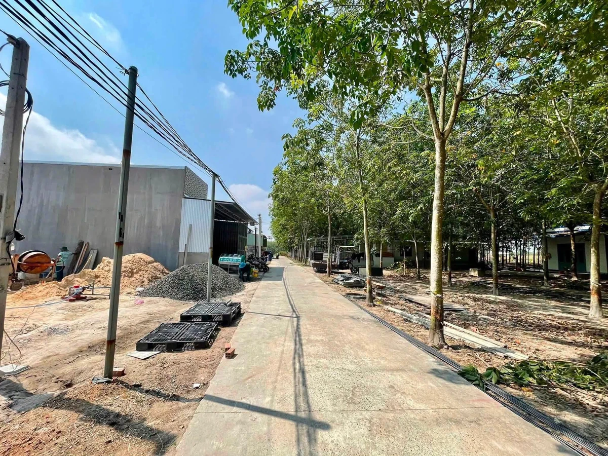 Bán đất nền 240m2 gần KCN Becamex, giá 595 triệu - Ảnh thu nhỏ 2