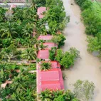 Papa Farm Riverside khu vườn của Ba Hạnh Phúc cho cả nhà đất vườn MT Sông Thành Triệu 1,2 ha - Ảnh thu nhỏ 13