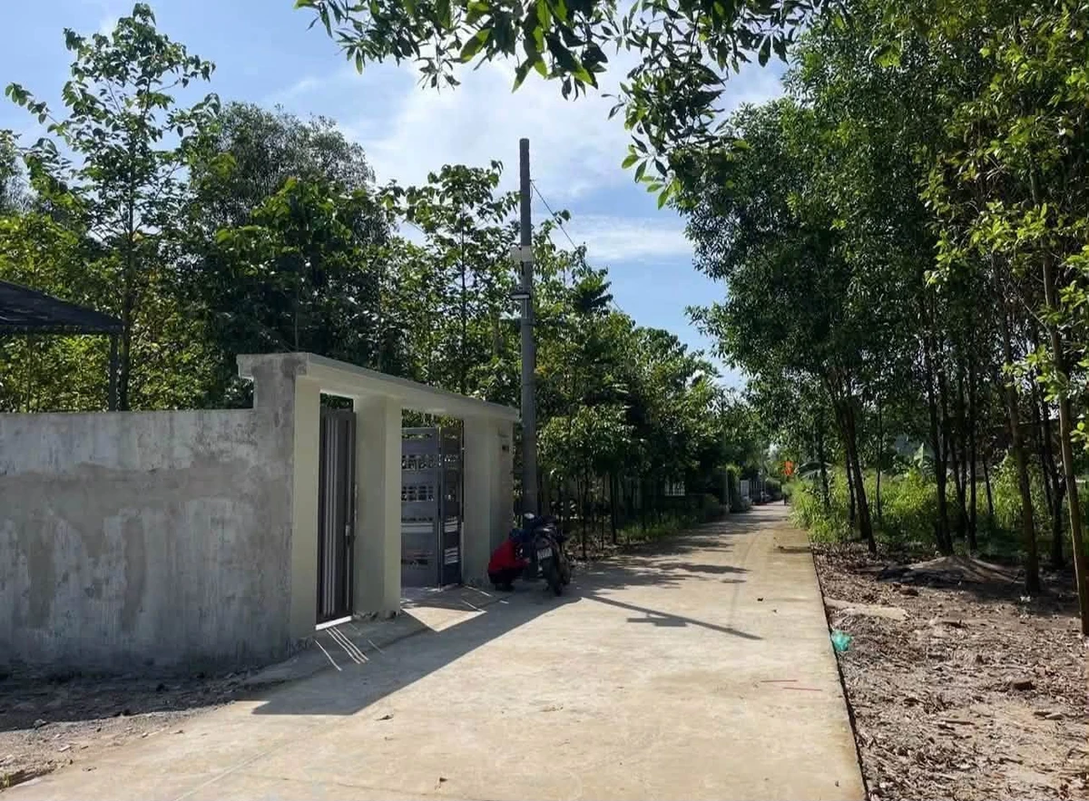 Bán đất 170m² full thổ cư Đồng Nai 1,3 tỷ - Ảnh thu nhỏ 2