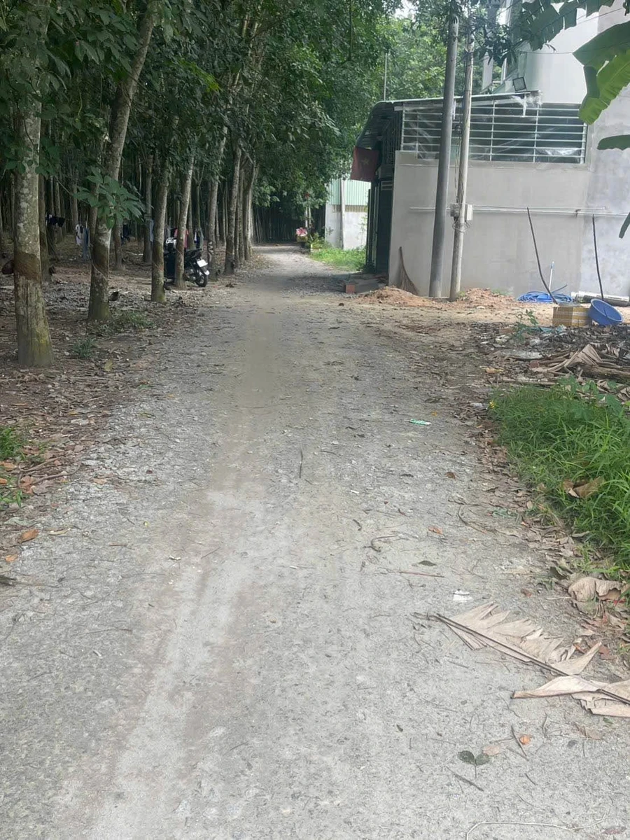 Bán đất nền 96m² Hoà Lợi, Bến Cát gần VSIP2 - Ảnh thu nhỏ 4