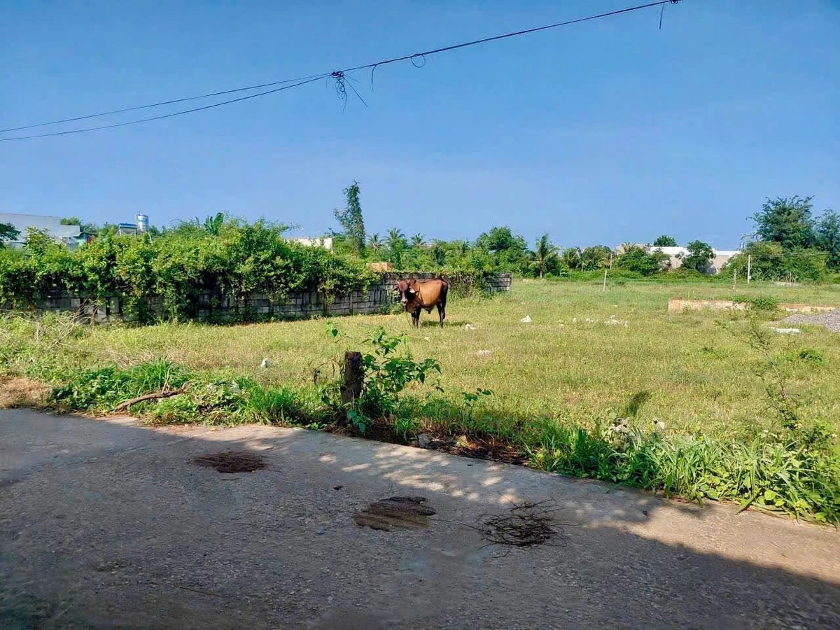 Bán đất thổ cư 100m² Hàm Thắng Bình Thuận - Ảnh thu nhỏ 2