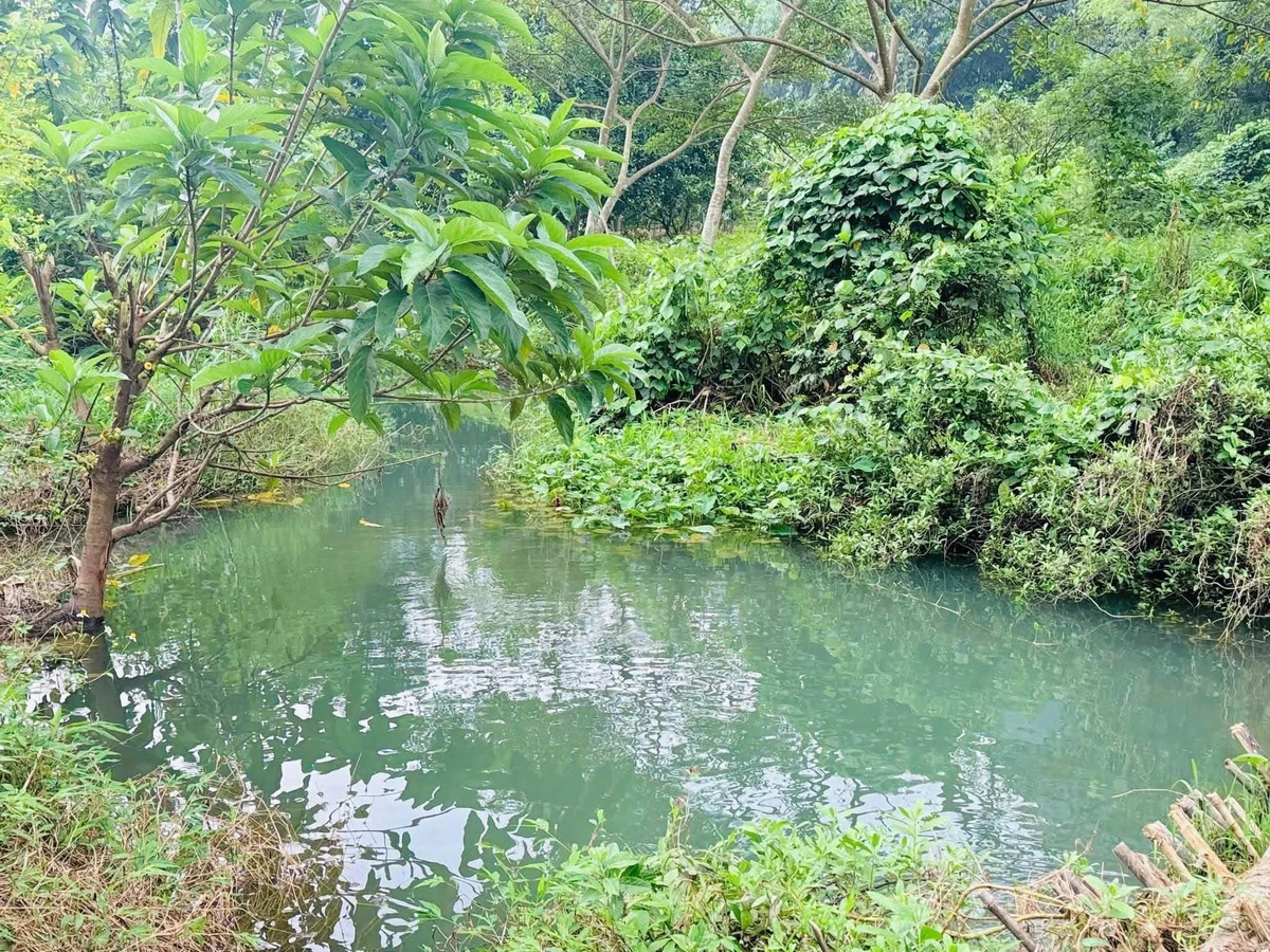 Bán đất bám suối view núi đá Hòa Bình 1.160m² - Ảnh thu nhỏ 4