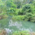 Bán đất bám suối view núi đá Hòa Bình 1.160m² - Ảnh thu nhỏ 4