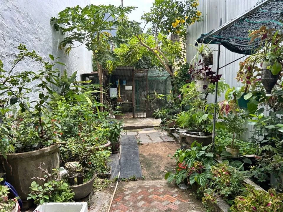 Bán đất kiệt 89m² mặt tiền Trưng Nữ Vương, Hải Châu, Đà Nẵng, 4 tỷ - Ảnh 1