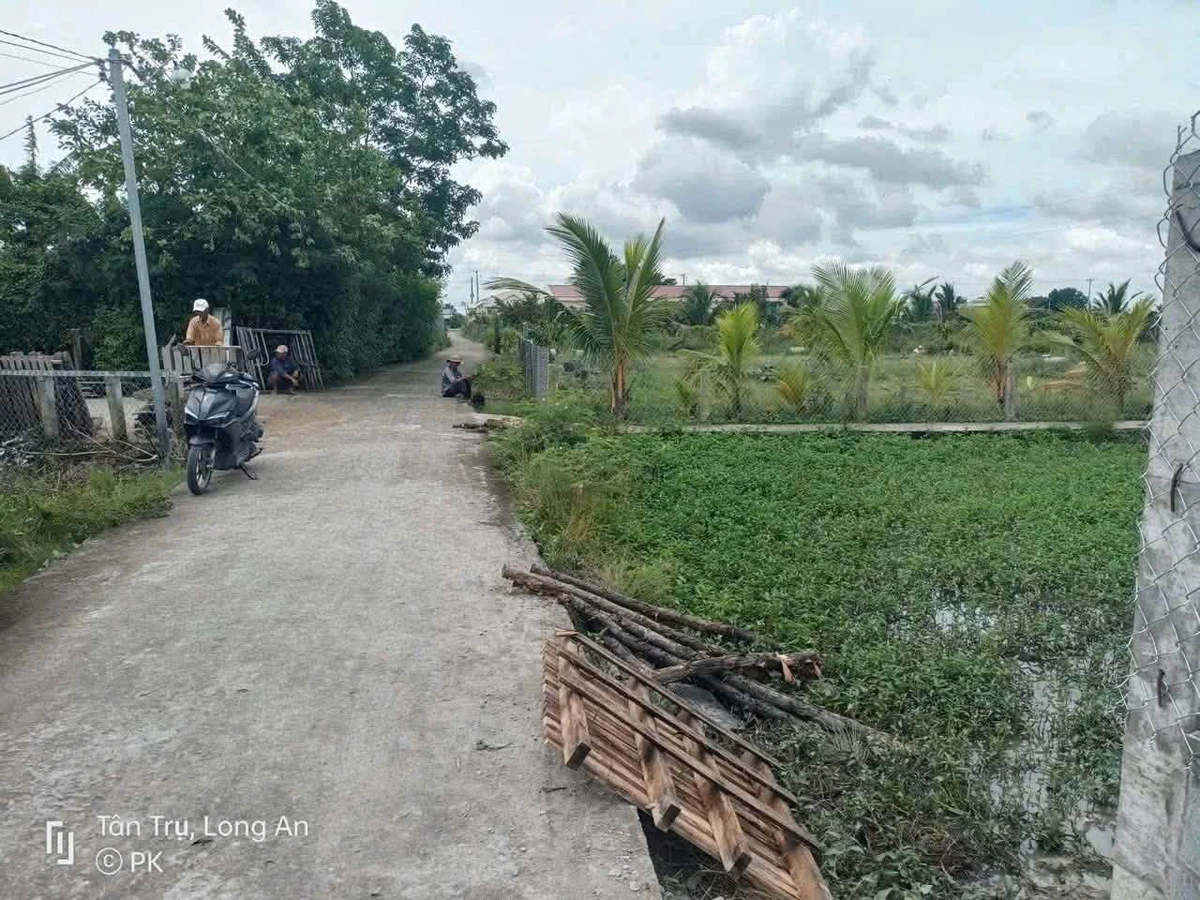 Bán đất vườn 800m² Tân Phú 1 tỷ 200 triệu - Ảnh thu nhỏ 5