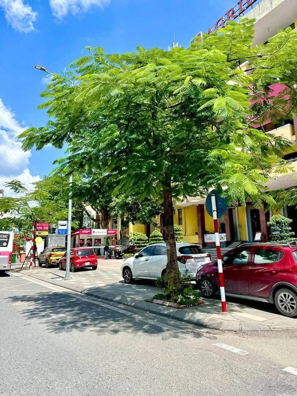 Bán nhà mặt đường Hoàng Minh Thảo 6 tầng Hải Phòng 10 tỷ
