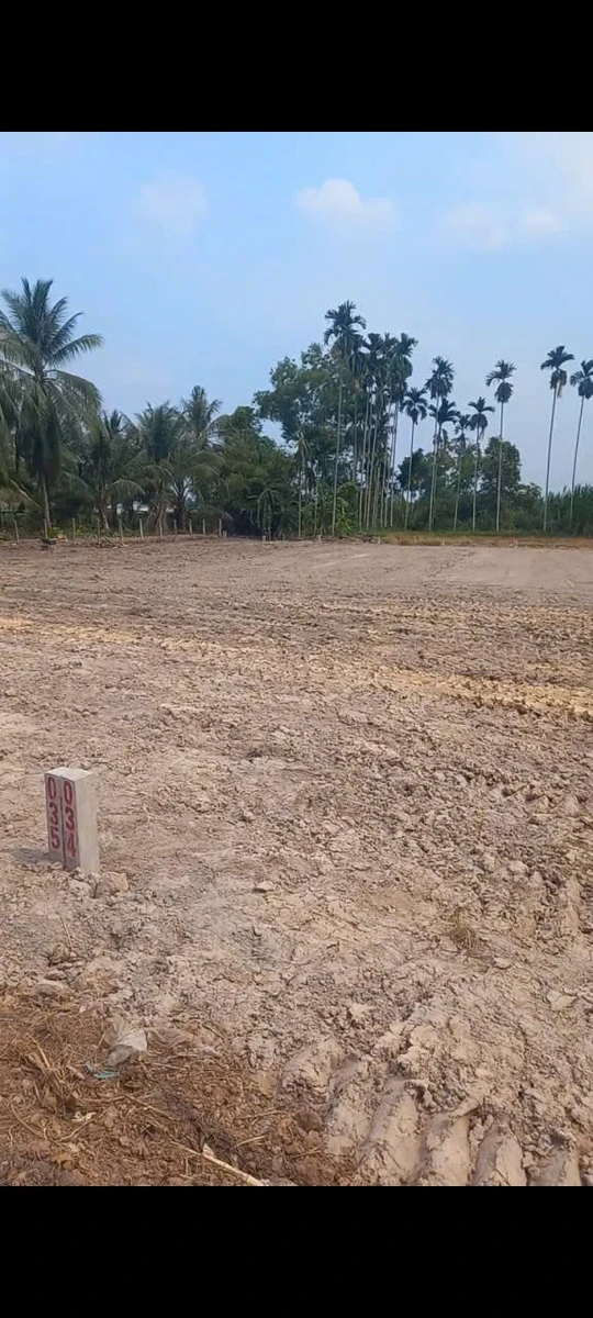Bán đất 250m² đường nhựa Tây Ninh 420 triệu - Ảnh thu nhỏ 2
