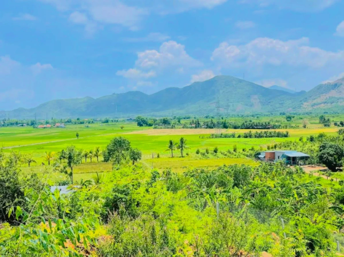 Bán đất vườn 3.000m² Ninh Lộc 750 triệu - Ảnh thu nhỏ 3