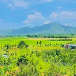 Bán đất vườn 3.000m² Ninh Lộc 750 triệu - Ảnh thu nhỏ 3