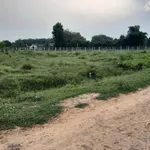 Bán đất 1.000m² An Cơ, Tây Ninh, giá 199 triệu - Ảnh thu nhỏ 2