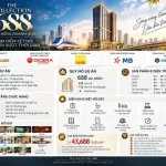 Bán căn hộ dự án The Collection 688 ( QL 13) giá ưu đãi, thanh toán 15% rồi ngưng đến khi nhận nhà! - Ảnh thu nhỏ 13