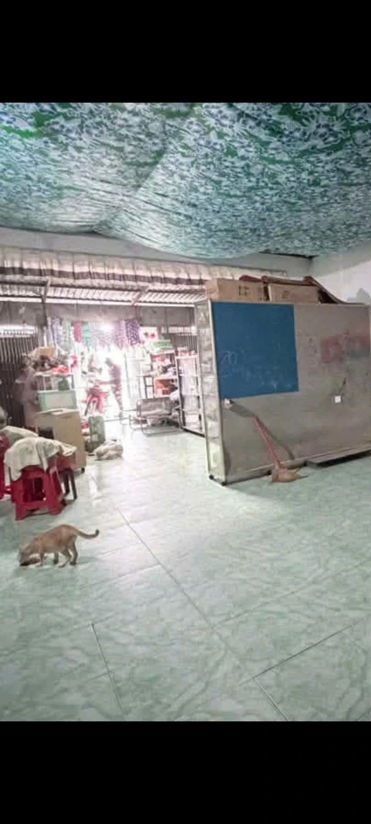 Bán nhà 1 trệt 1 lầu mặt tiền Tỉnh lộ 843, 176,8m² Đồng Tháp - Ảnh thu nhỏ 2