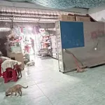 Bán nhà 1 trệt 1 lầu mặt tiền Tỉnh lộ 843, 176,8m² Đồng Tháp - Ảnh thu nhỏ 2