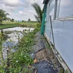 Bán đất lúa 2.250m² Xã Phước Đông Cần Đước - Ảnh thu nhỏ 3