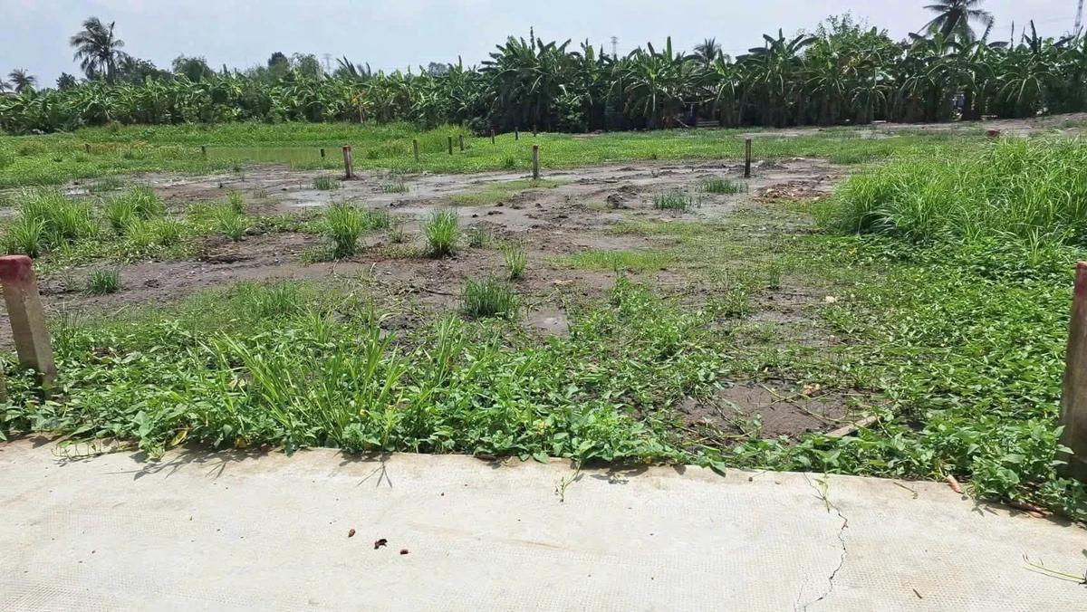 Bán đất thổ cư 5x15m (75m2) giá 315 triệu tại Bình Lãng, Tân Trụ, Long An - Ảnh thu nhỏ 3