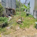 Bán đất Bình Nhâm Lái Thiêu Mới 97m2, giá 2,27 tỷ - Ảnh thu nhỏ 2