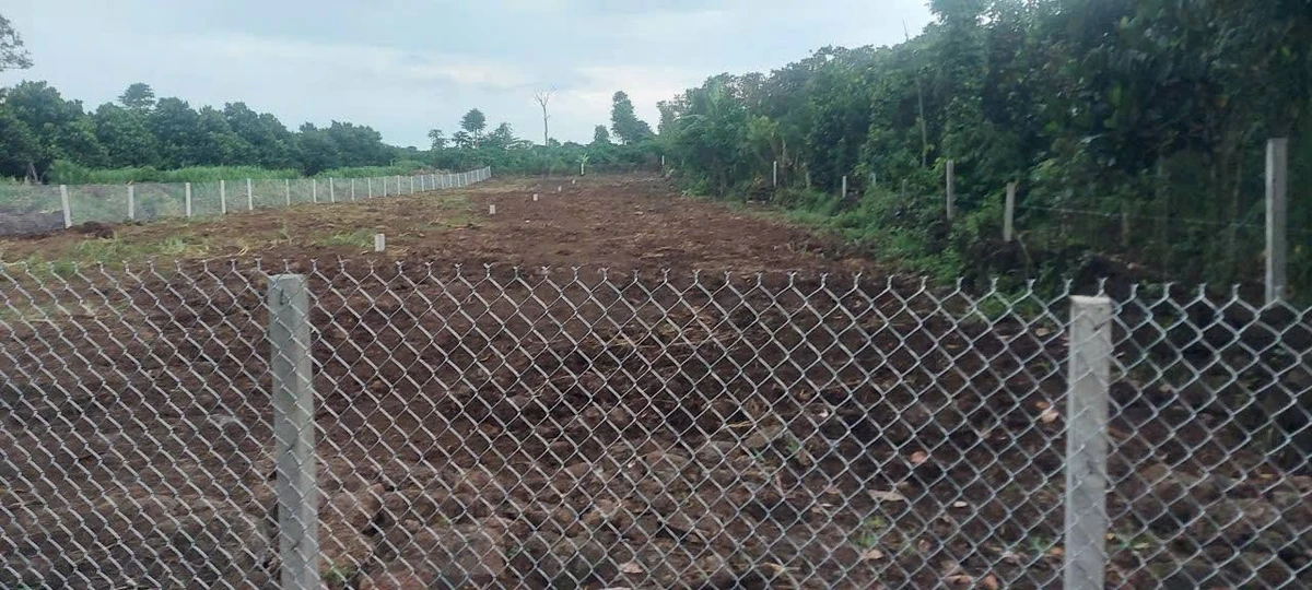 Bán đất 2.000m2 tại Long Khánh 5 tỷ - Ảnh thu nhỏ 5
