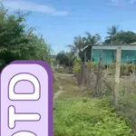 Bán đất thổ cư Suối Đá Dương Minh Châu 248m² 380 triệu - Ảnh thu nhỏ 3