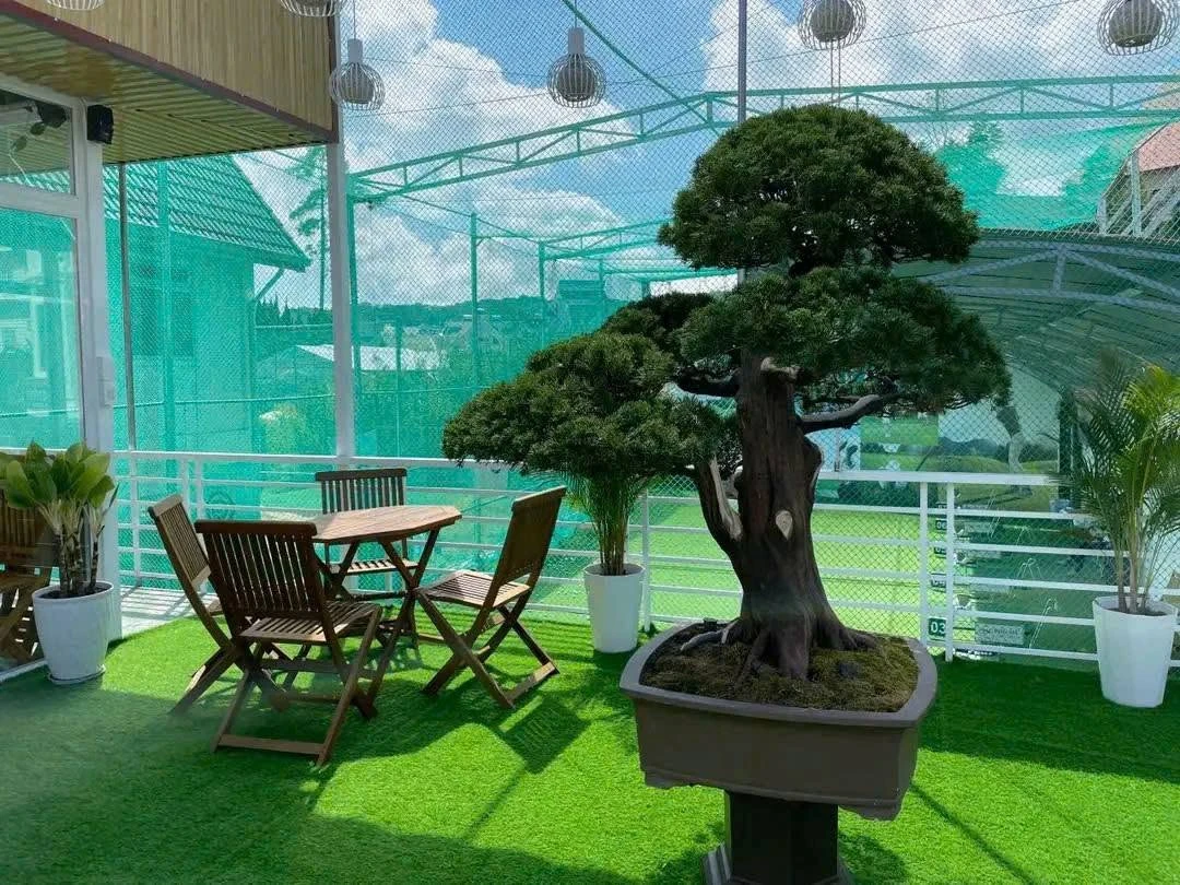 Bán đất biệt lập mặt tiền Yersin 371m² - 25 tỷ - Ảnh thu nhỏ 3