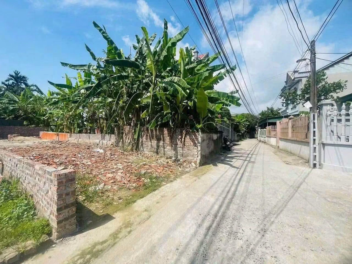 Bán đất Gia Xuyên 91,5m² full thổ cư, giao thông thoáng - Ảnh thu nhỏ 5