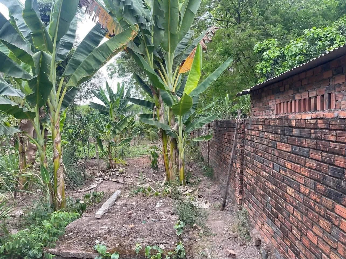 Bán nhà vườn mặt tiền Phùng Hưng An Viễn 4.296m² 7.5 tỷ - Ảnh thu nhỏ 2