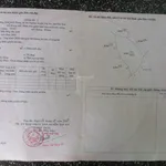 Cực rẻ, chỉ 75 triệu mua được 1,85ha đất rừng sản xuất - Ảnh thu nhỏ 1