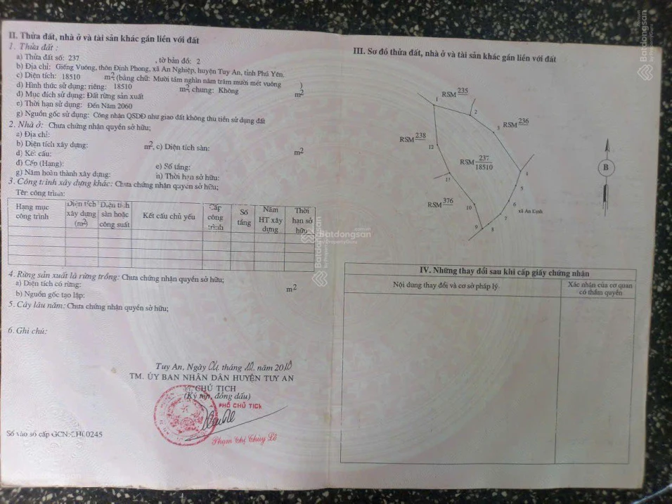 Cực rẻ, chỉ 75 triệu mua được 1,85ha đất rừng sản xuất - Ảnh 1