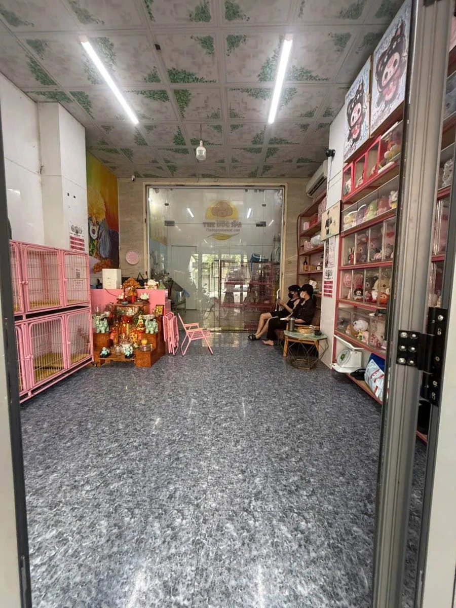Nhà gác lửng kinh doanh 100m2 mặt tiền đường Nhựa, giá 2 tỷ - Ảnh thu nhỏ 3