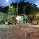 Cần bán gấp mặt phố Trần Huy Liệu cạnh chợ Mộc Châu dt 1450m2 phù hợp xây khách sạn resort SĐCC - Ảnh thu nhỏ 12