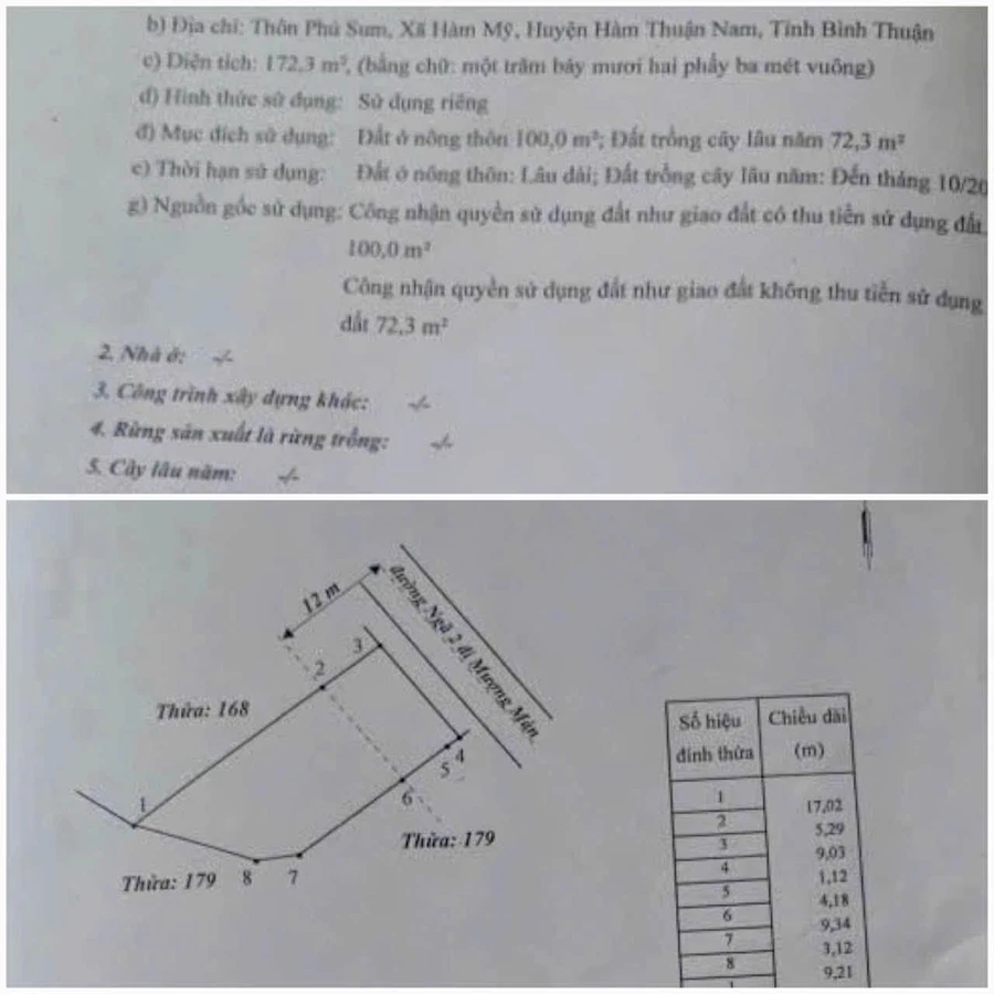 Bán đất kèm nhà kho mặt tiền 172m² Tuyên Quang 3,95 tỷ - Ảnh thu nhỏ 3