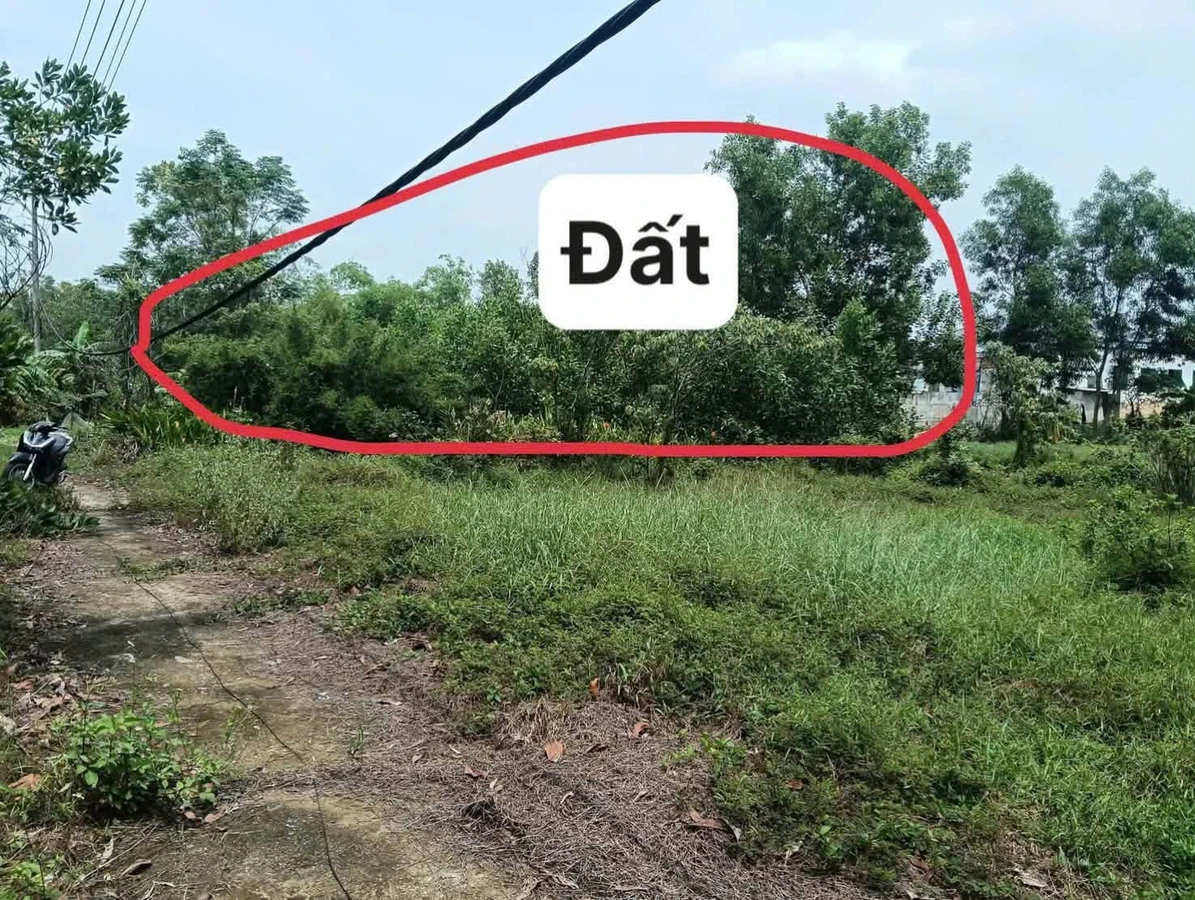 Bán đất trồng cây 500m² Phong Điền Huế 89 triệu - Ảnh thu nhỏ 4