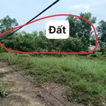 Bán đất trồng cây 500m² Phong Điền Huế 89 triệu - Ảnh thu nhỏ 4