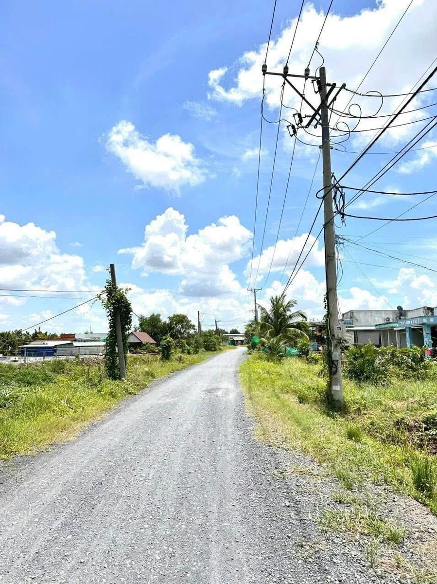 Bán đất mặt tiền 1984m2 Cần Đước, Long An - Ảnh thu nhỏ 2