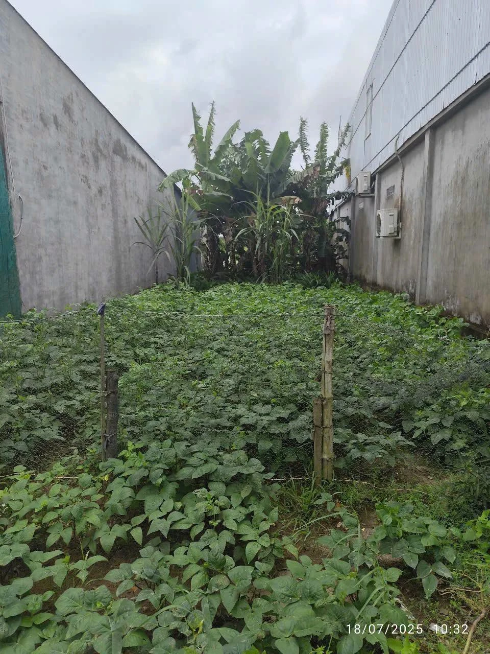 Bán nền 138m2 Tân Hiệp Kiên Giang - Ảnh 1