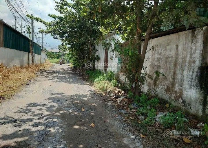 108m2 5,4x20m ngay đầu cổng DA Cát Tường Phú Sinh 200m - Ảnh thu nhỏ 4