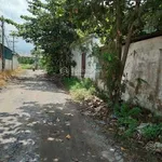 108m2 5,4x20m ngay đầu cổng DA Cát Tường Phú Sinh 200m - Ảnh thu nhỏ 4